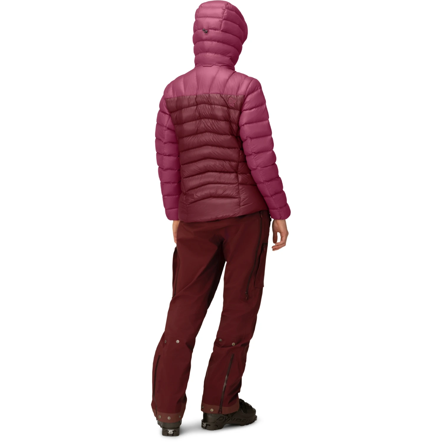 Norrona Plumífero Chaqueta Mujer - Lyngen Down850 Hood - Violet Quartz 5 Norrona Plumífero Chaqueta Mujer - Lyngen Down850 Hood - Violet Quartz - Imagen 5